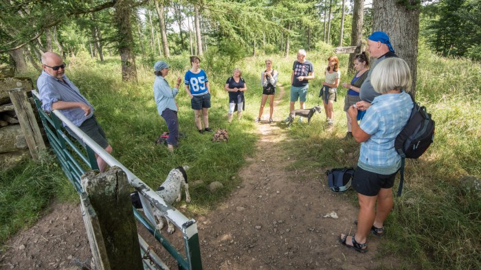 A group of people stood in a woodland listening to some poetry. It is a warm and sunny day and the mature trees are in full leaf