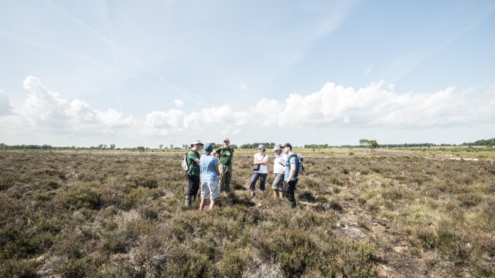 A small group of people - artists, scientists, conservationists - on a site visit to Bolton Fell Moss in north-east Cumbria. The group are standing on an elevated parcle of land that is surrounded by heather.