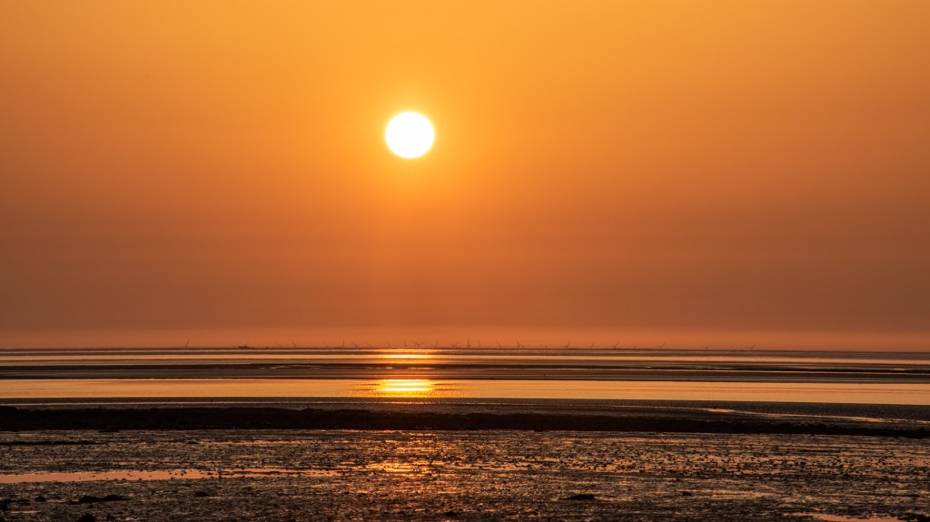 A glowing sun above the sea, with a row of wind turbines only just visible on the horizon.