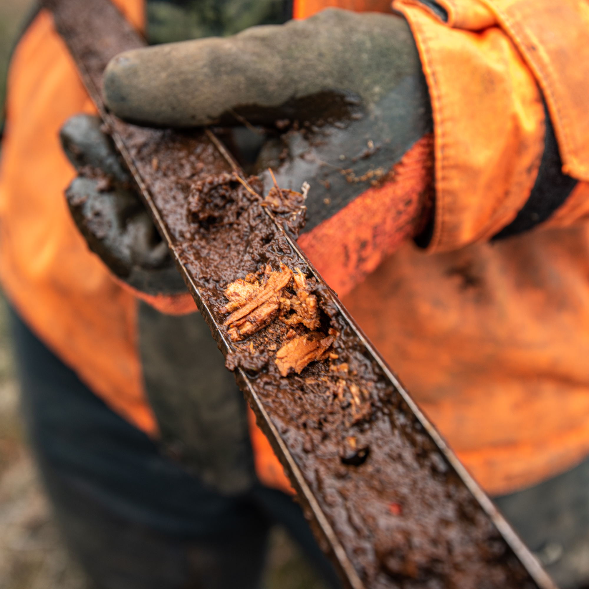 A man in a bright orange jacket and black rubber gloves is holding a long metal tube. In the tube is some brown peat that has been drawn up from 8.5 metres below ground.