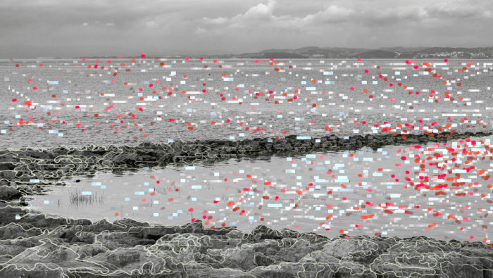 Modelling Morecambe Bay, film still, 2021, by Daksha Patel showing a black and white image overlaid with red and blue pixels relating to data measurements