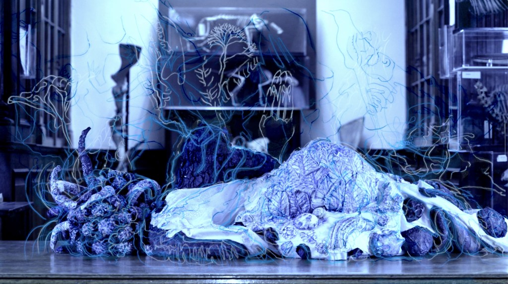 In Pericula: At Risk, film still, 2022, Daksha Patel Developed following a residency at Kings College, London, a still image from the film features a performer wearing a costume made from prints of objects such as bones and corals from collections.