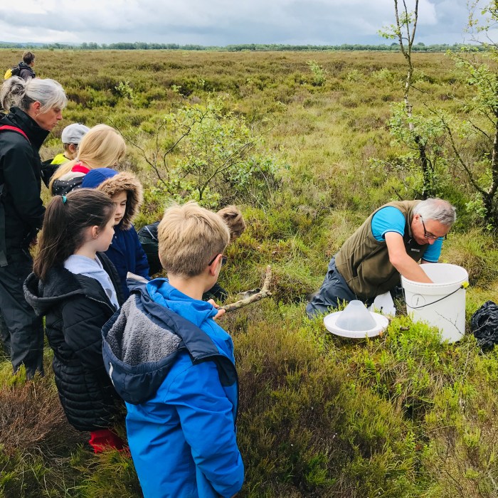 A line of children on a mossy piece of ground watching a man reach into a moth trap to see what they have found