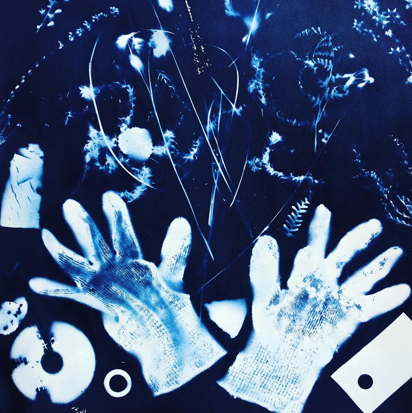 Cyanotype for Moss of Many Layers by Anne Waggot Knott showing gloves and found objects