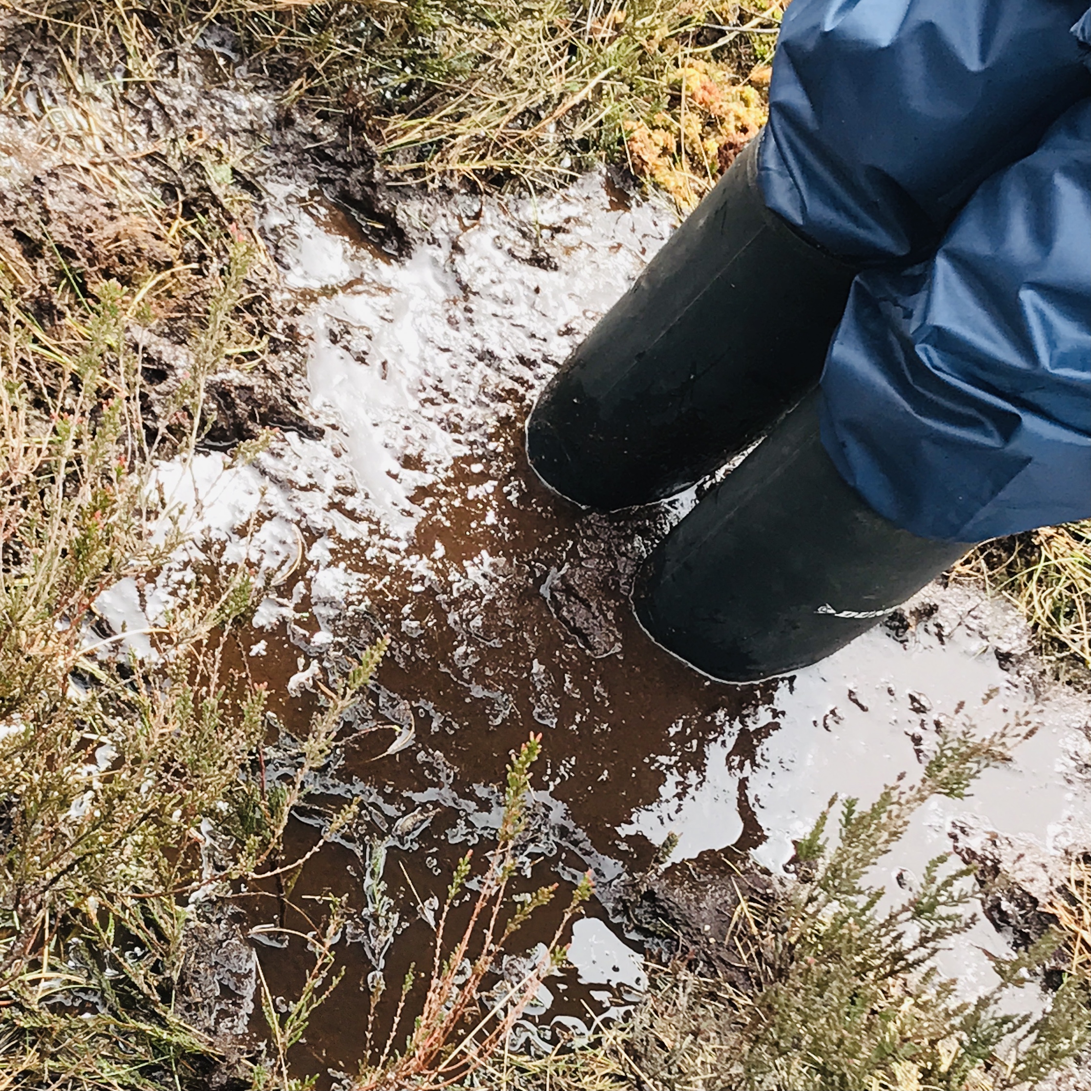 a child in wellies submerged in the bog