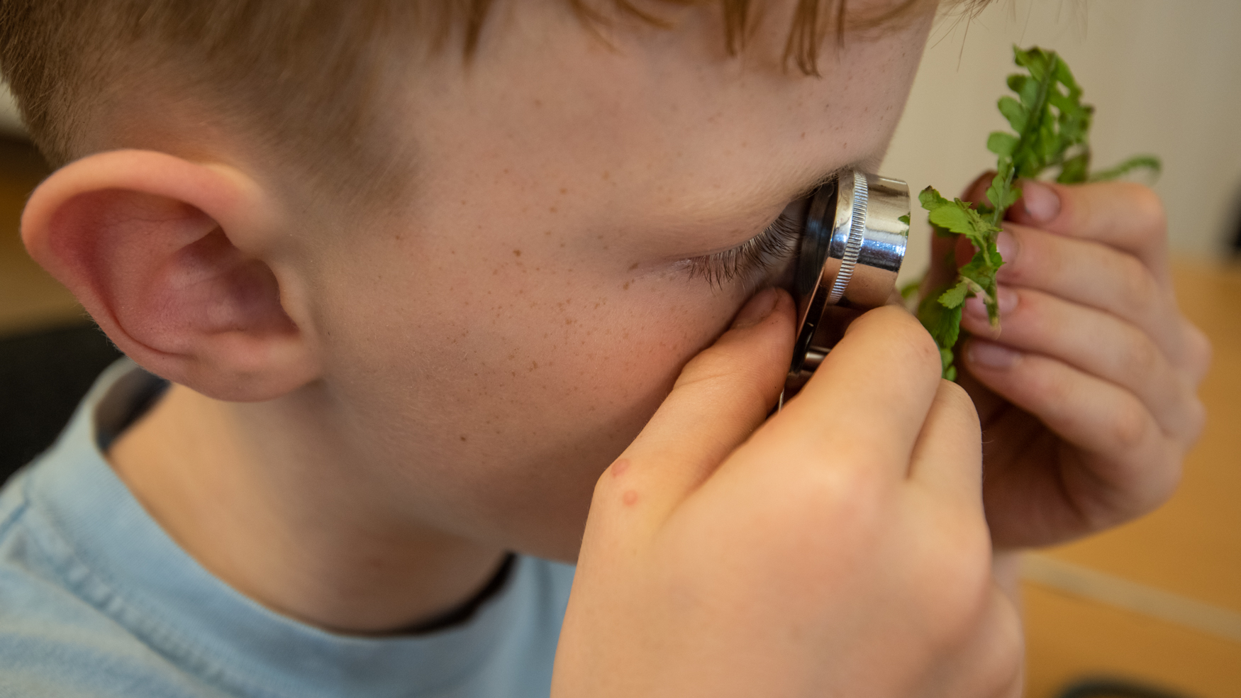 a young child looking at a fern through a magnifying lens