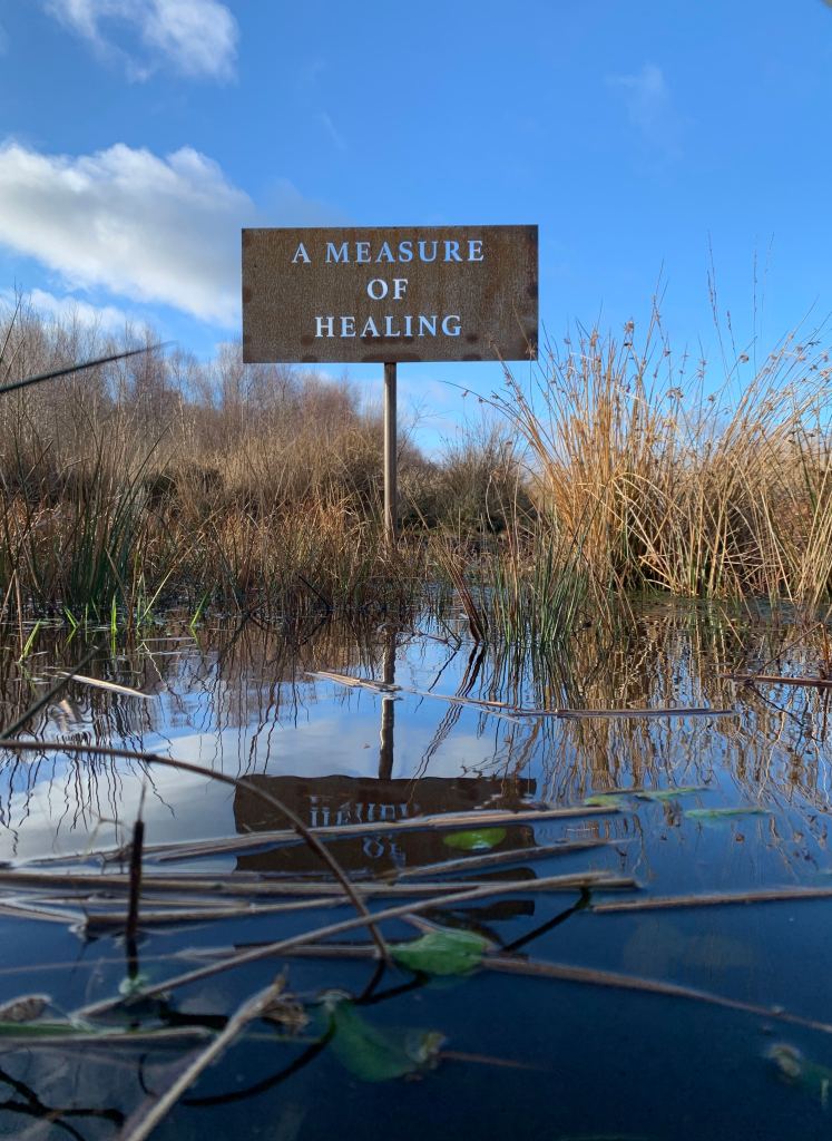 A steel sign rises from a wetland area of a bog and has words cut into it, reading A Measure Of Healing