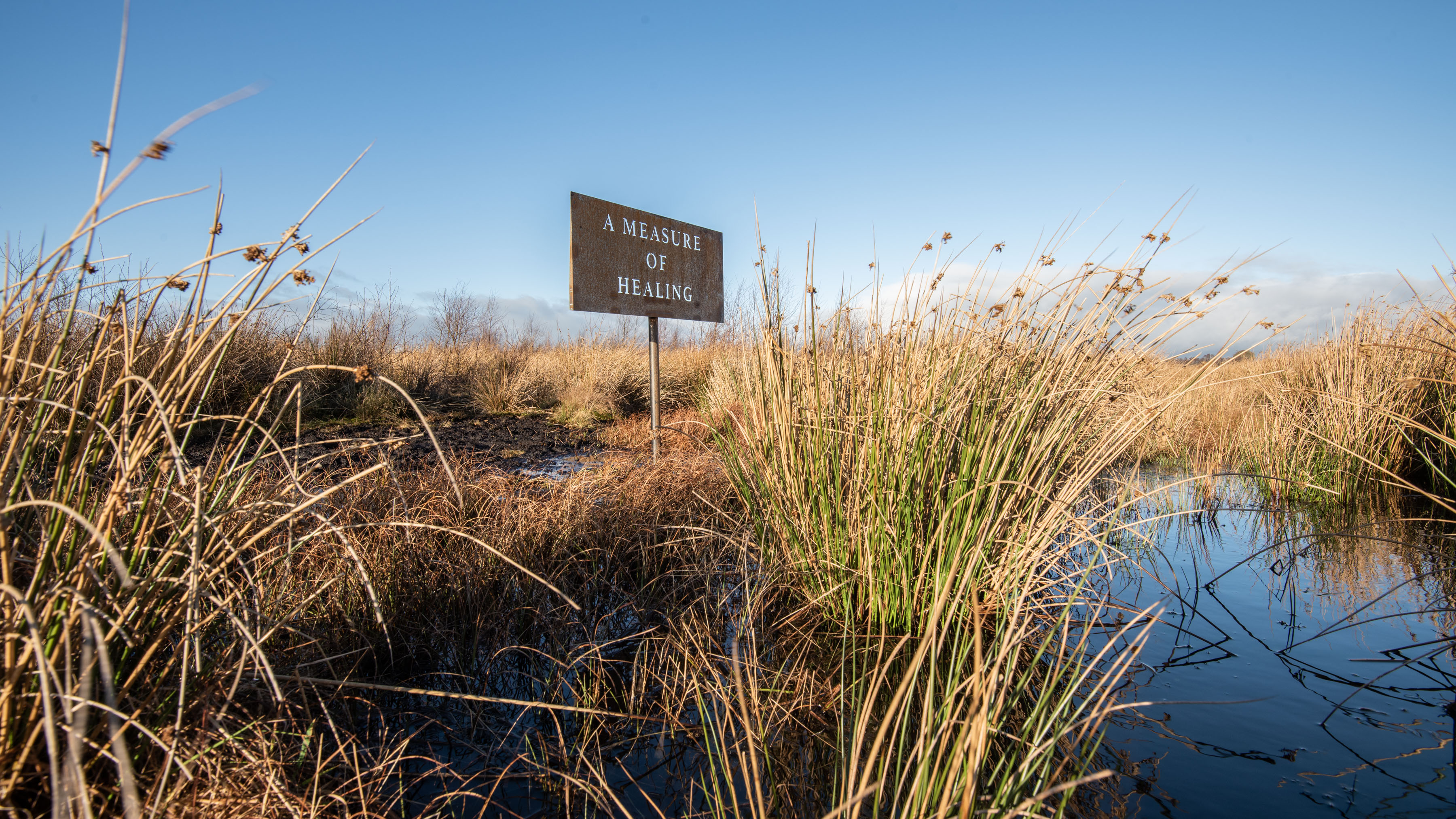 A sign rises from wetland and grasses. Words on the sign read 'A Measure of Healing'