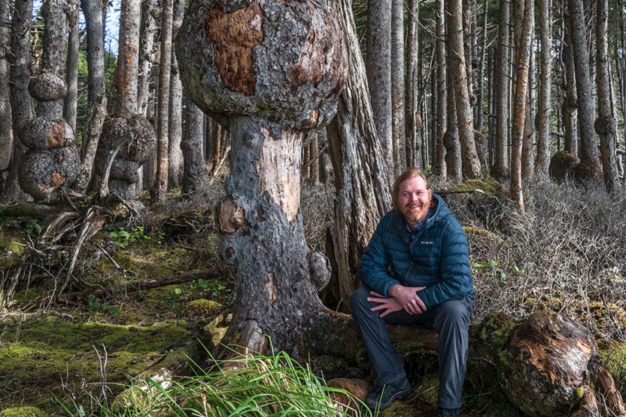 A man sits beside a tree