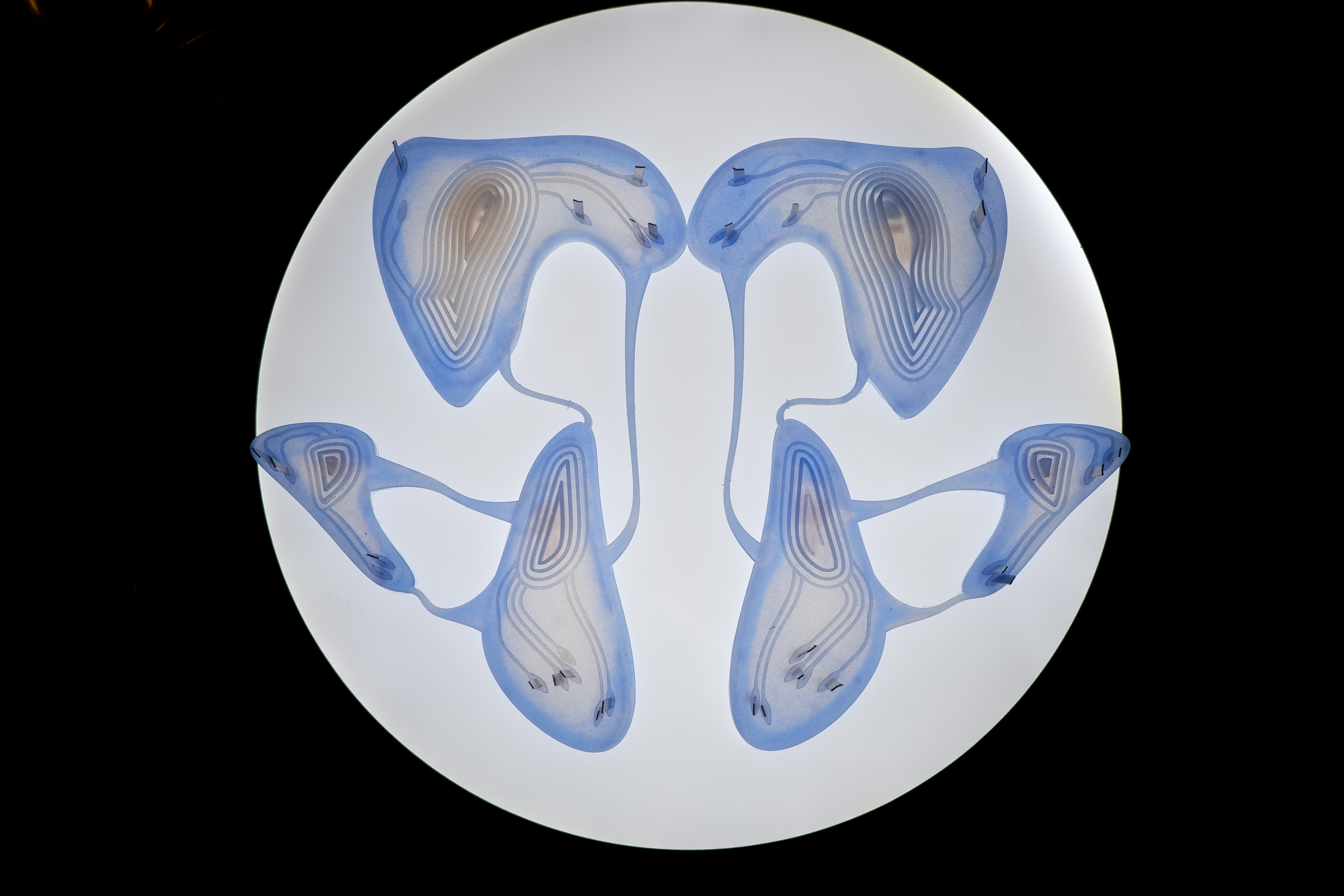 An image of blue patterns against white: these are wearable nodes that you attach to your body.