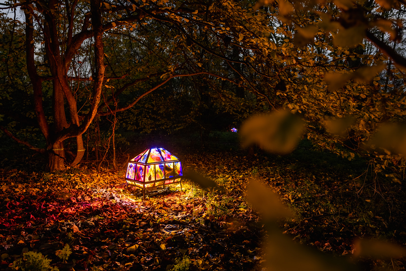 An illuminated glass box in a woodland