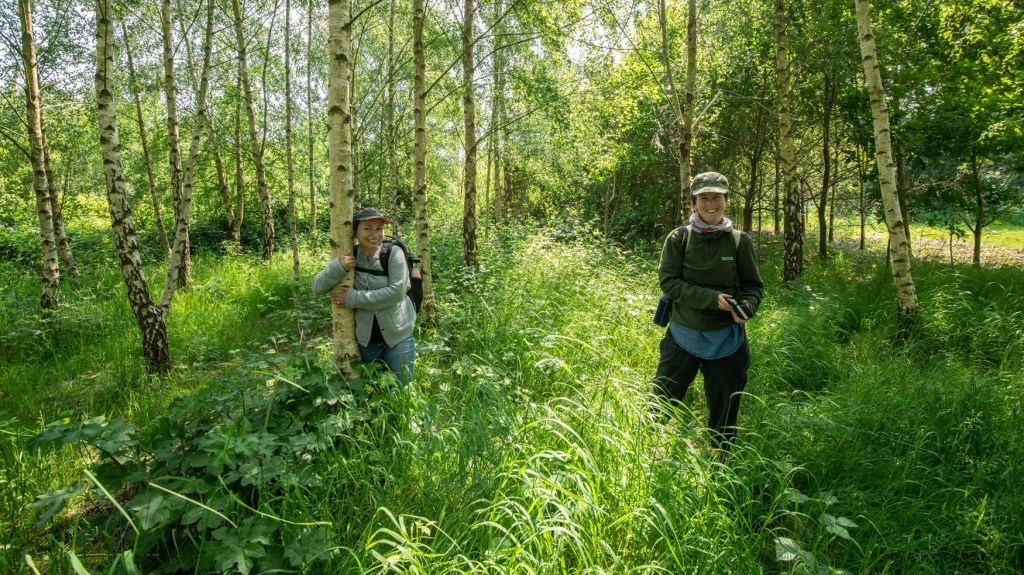 Two women stand among birch trees on a sunny day
