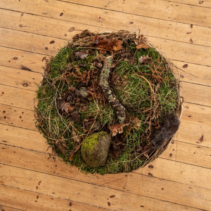 A circle of grass, leaves, sticks and stones, viewed from above