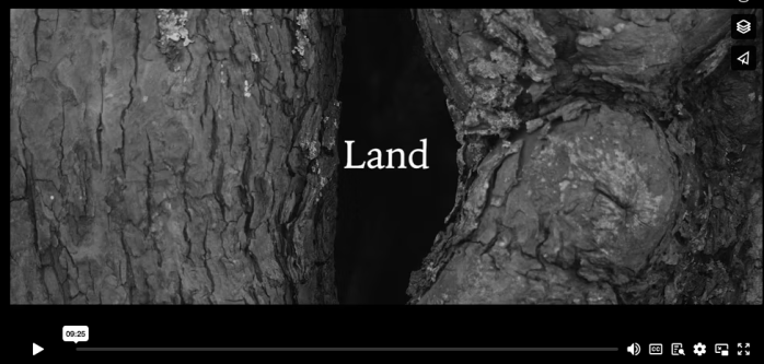 A black screen with two tree trunks and the word 'Land' written in white text