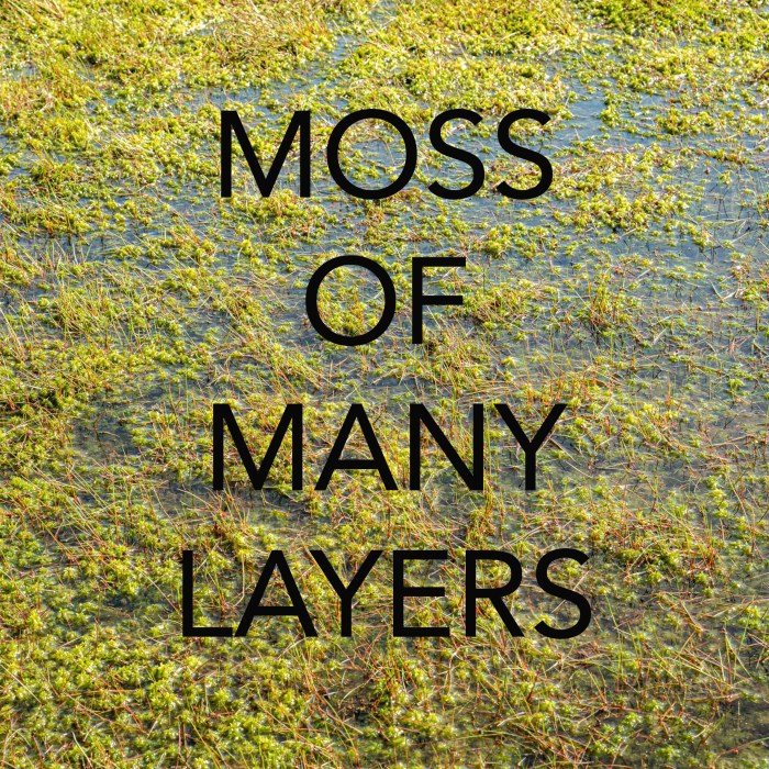 An image of wet moss, with the words MOSS OF MANY LAYERS