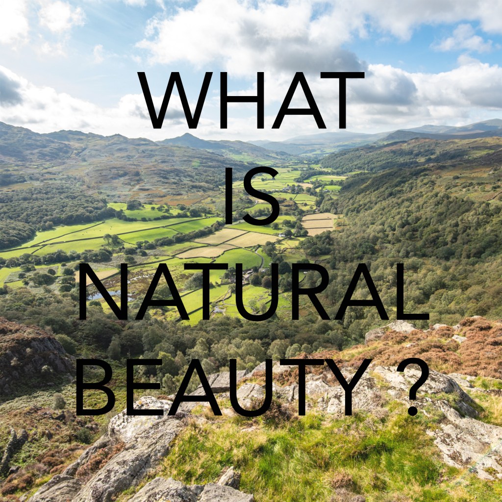 the words WHAT IS NATURAL BEAUTY appearing over an image of a valley with woodlands and fields