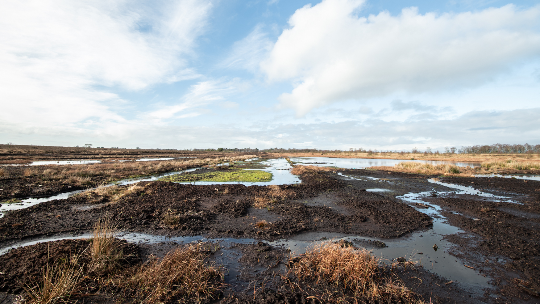 Black peat exposed on a peat bog