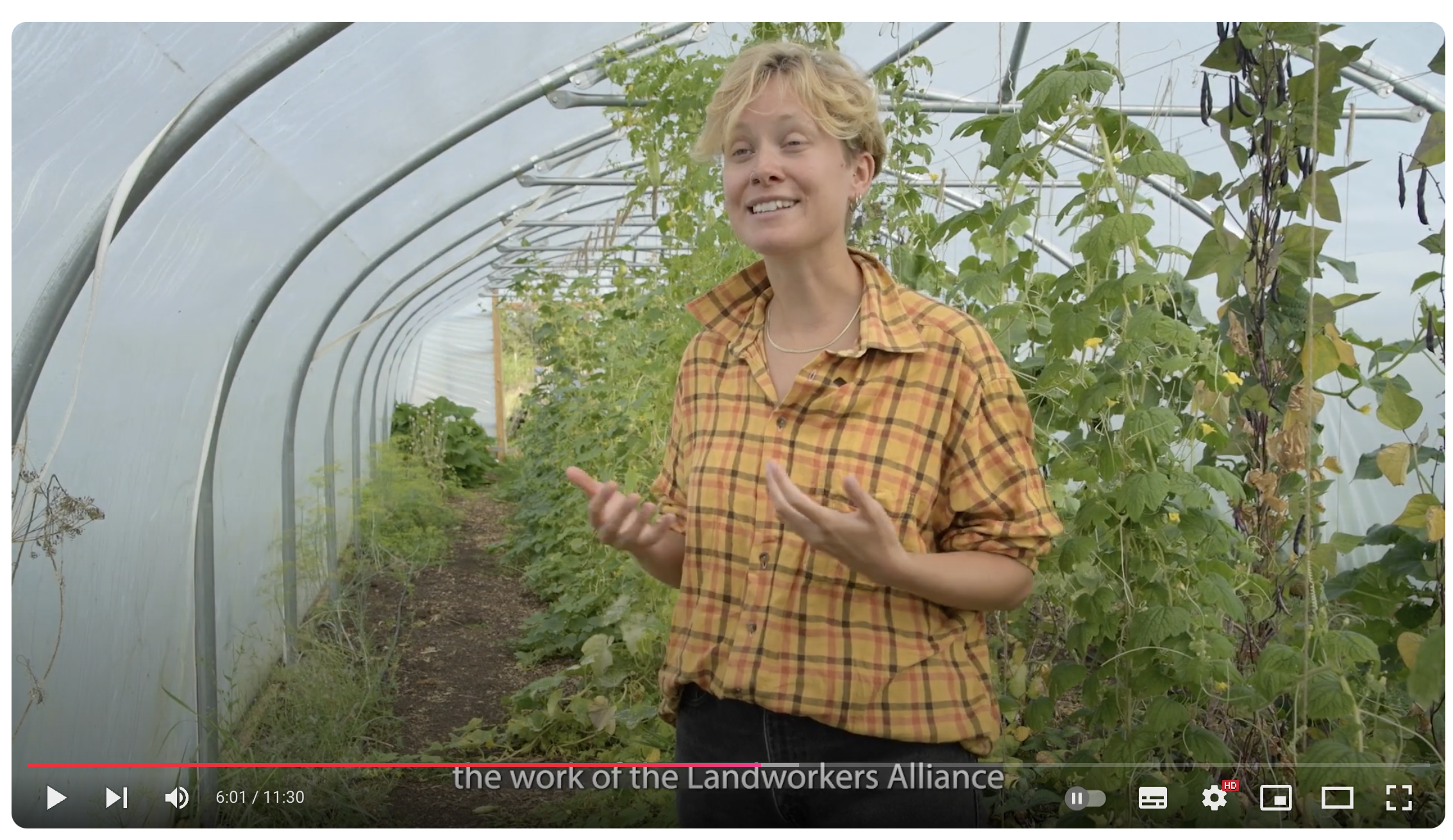 a Woman in a yellow shirt stands in a polytunnel; the image is a still from a film