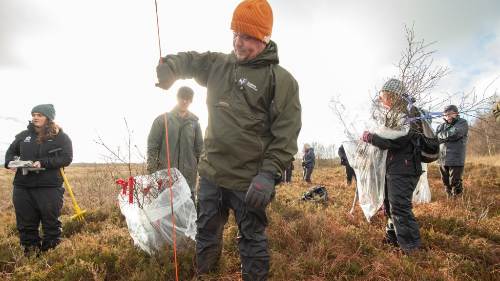 A group of people stand on grassy land. Two people have a bag each, which is filled with young trees.