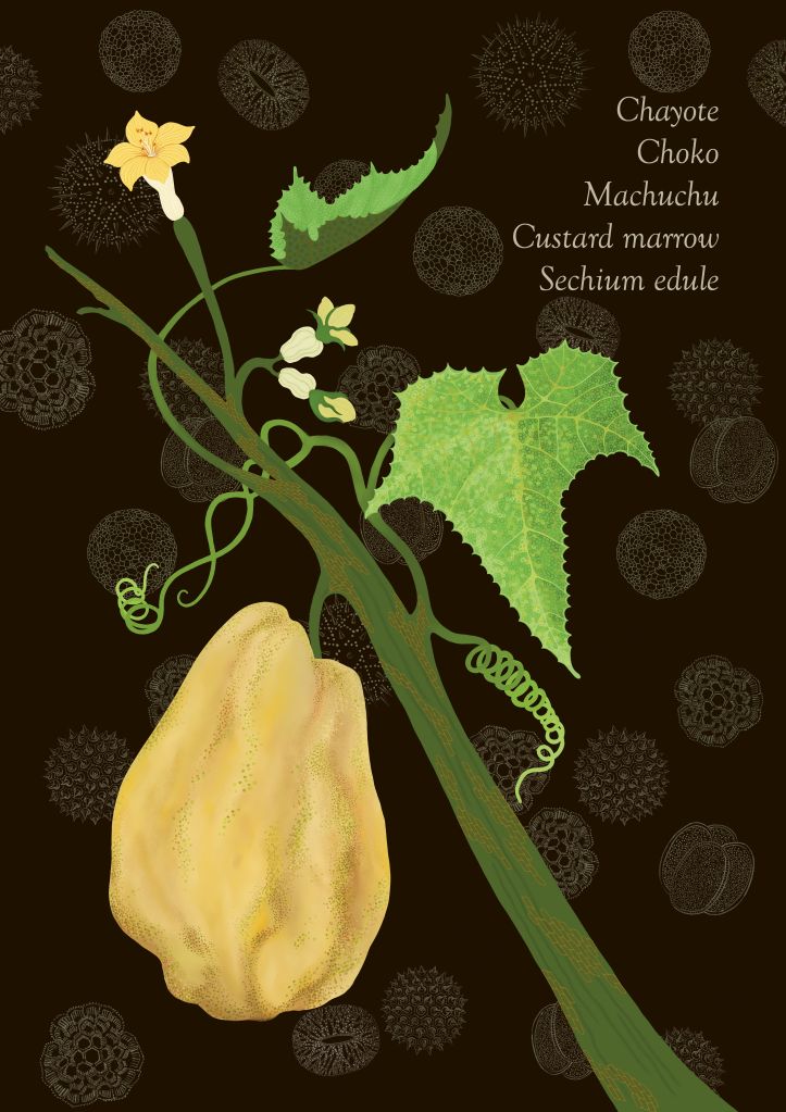 A digital illustration of a plant with a bulbous yellow fruit, small yellow flowers, green leaves and curling tendrils. There is a brown back drop with illustrations of cells. The text reads: 'Chayote. Choko. Machuchu. Custard marrow. Sechium edule'.