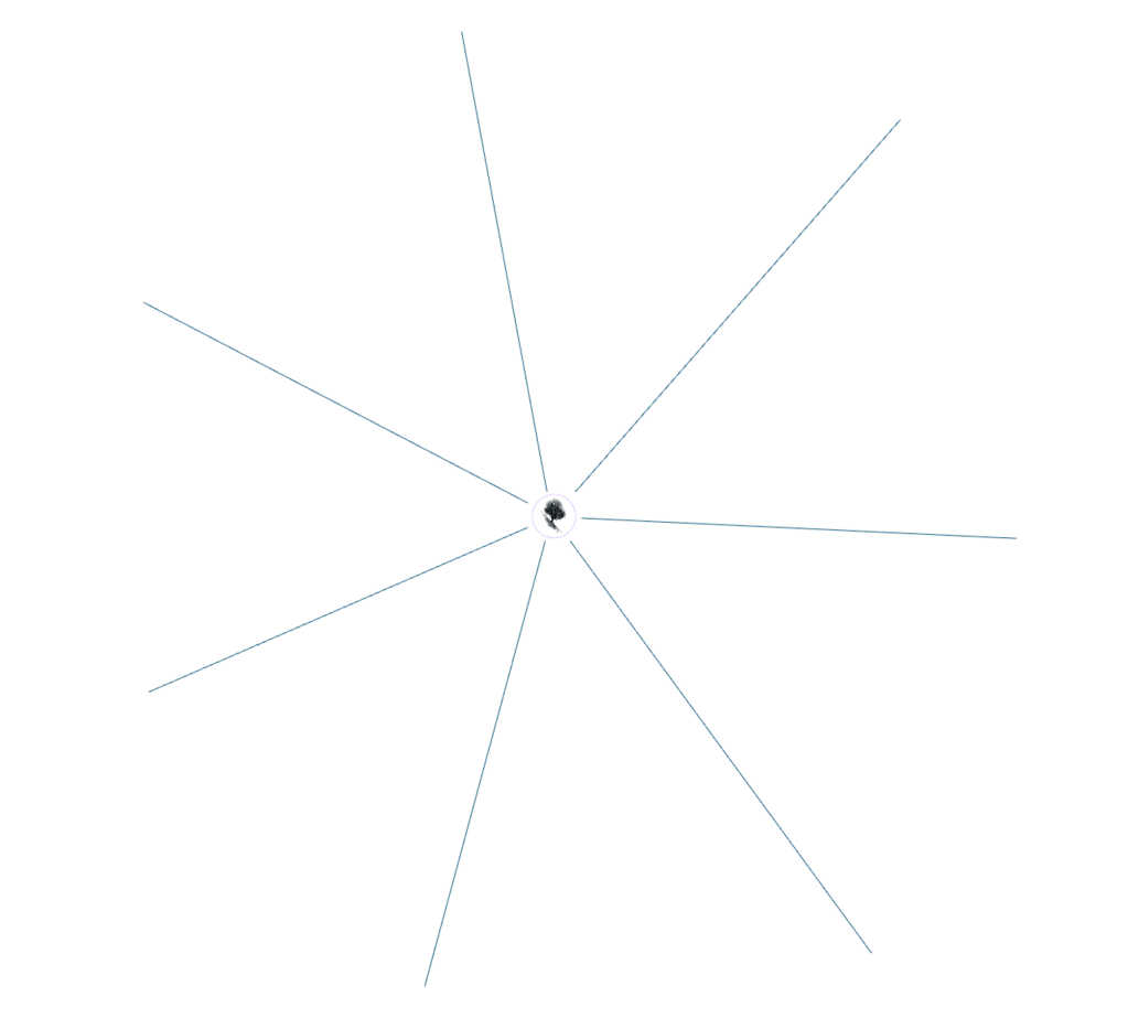 Seven lines radiating from a central point