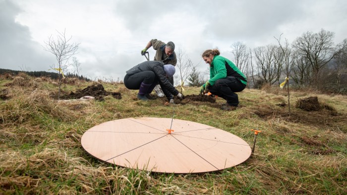 Image shows a circle with lines on it demarking seven angles, and three people leaning down, planting a tree