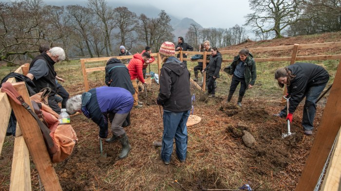 A group of people stand inside a large wooden tree cage, digging holes for new trees