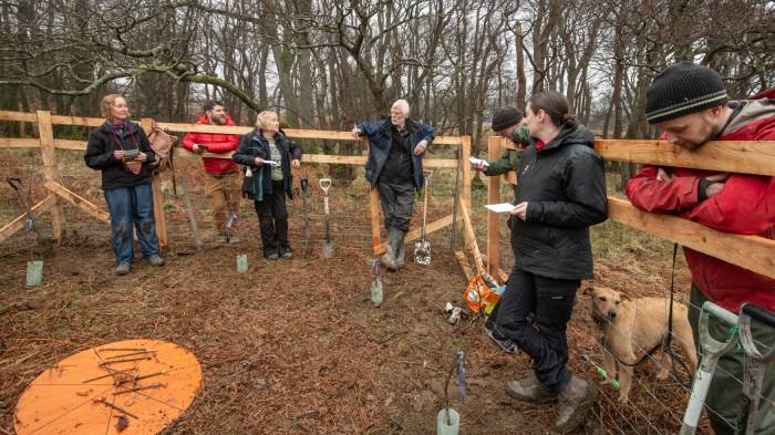 several people lean against a wooden fence. They have cards in their hands and there are new trees planted in front of them.