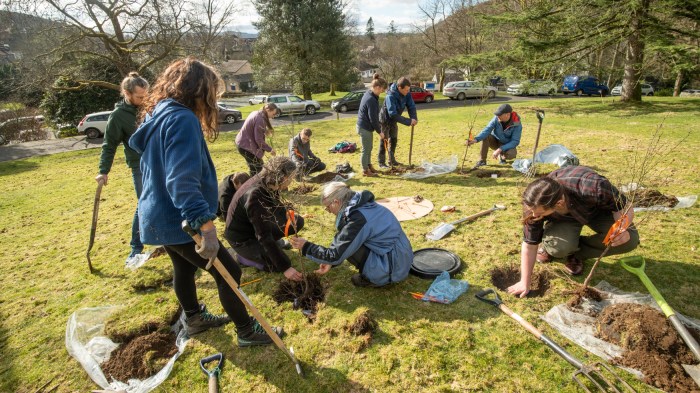 A group of people with garden forks and spades are planting small trees on a grassy area, with cars and mature trees in the background