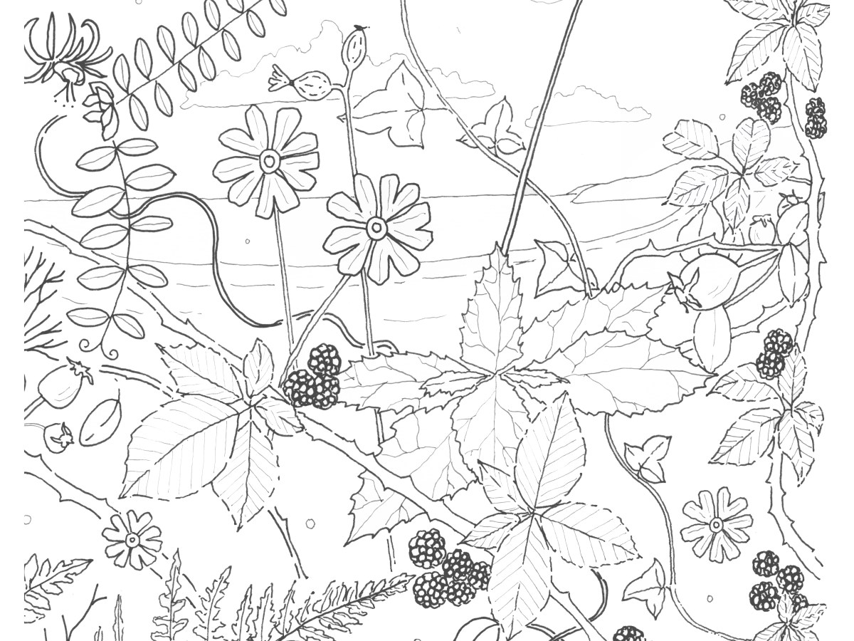 Ali Foxon – Put Down Your Phone / Pick Up a&nbsp;Pencil