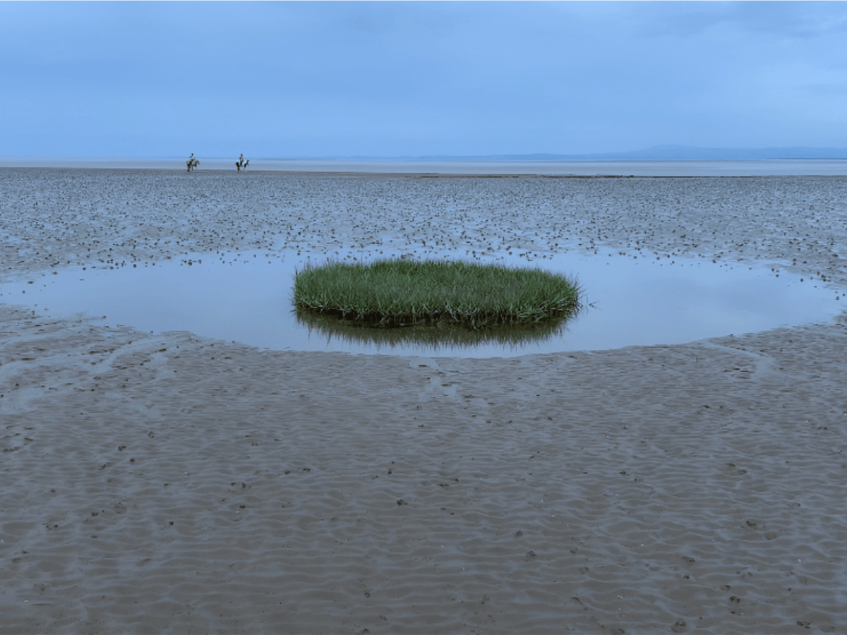 Sediment, 2023 – Debbie&nbsp;yare