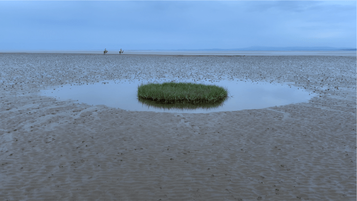 A wide expanse of wet sand fills the image, the sky is grey and on the horizon there are small hills. In the background two figures riding horses can be seen. In the foreground there is a dip in the sand creating a puddle that reflects the sky. in the centre of the puddle is a small circular bank of grass.