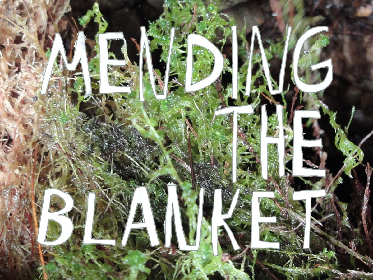 Kate Foster – INSPIRED BY&nbsp;PEAT