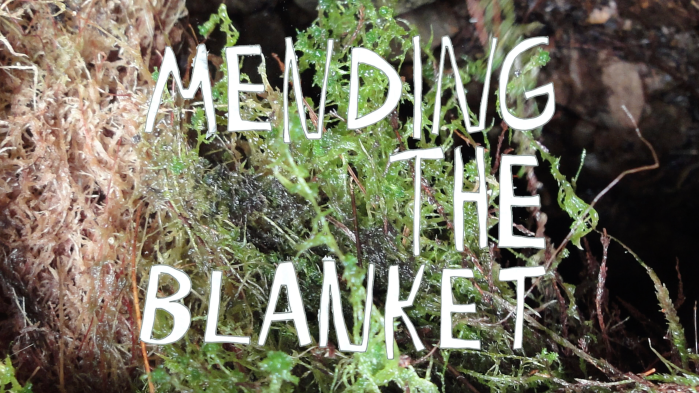 A close up of wet moss, white and green, with a darker background, and the words 'Mending the Blanket' digitally imposed over the top.