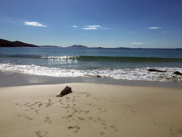 A beach on a sunny day. The sea is calm, with very small waves. In the background there are silhouetted hills. On the sand there are footprints leading to a small cast of a whale facing the sea.
