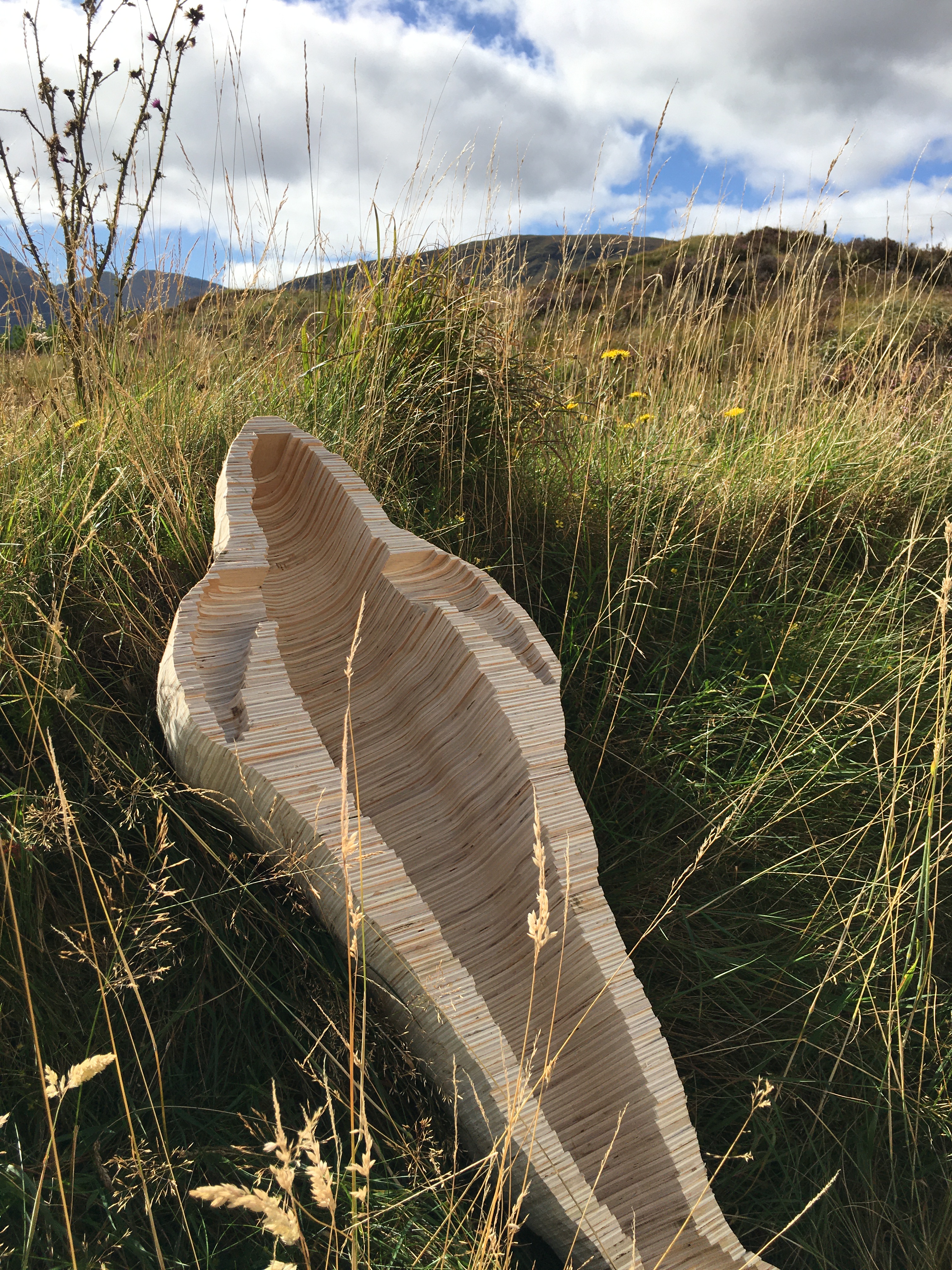 A wooden mould of a whale lying on top of long grass. There are hills in the background, it is sunny, and the sky is blue with some clouds.