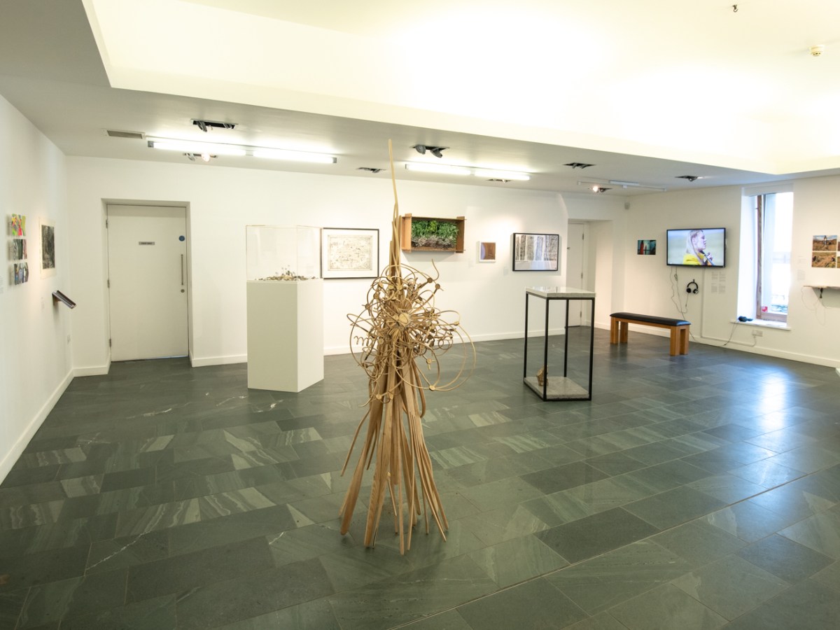 Review of ‘See Here Now’, in&nbsp;Ecoartscotland