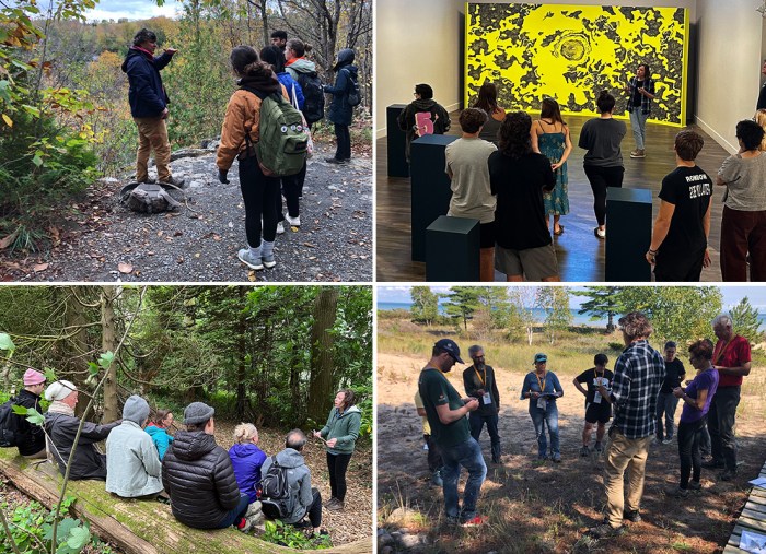 A collage of images showing people taking part in workshops outdoors and indoors