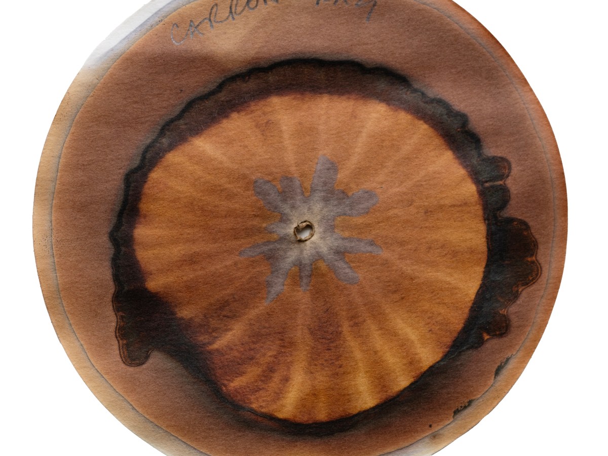 Becky Nunes in See Here&nbsp;Now