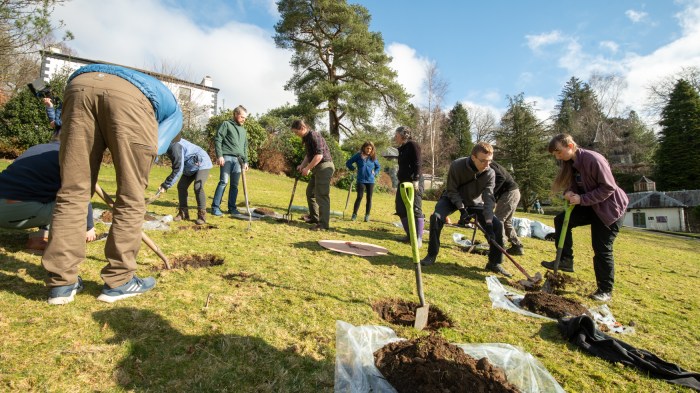 A group of people with spades are digging holes, ready for tree planting