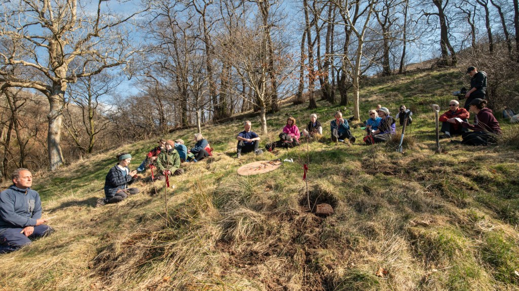 A group of people sit on a grassy hillside beneath trees, in the sunshine. It is winter and the trees are bare. Small new trees are tied with red ribbons and stand in bare earth - they have just been planted.