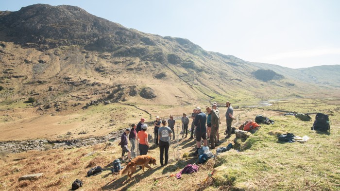 A group of people on a hillside in sunshine. They are standing in a circle around newly planted trees