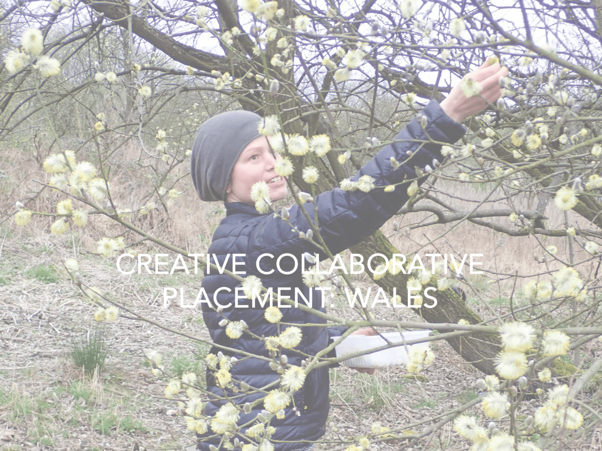 CCP WALES Artist – JACQUI&nbsp;SYMONS