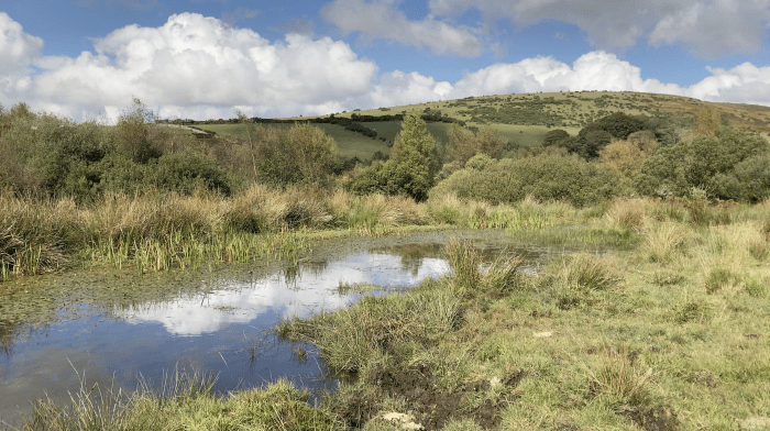 An image of a grass-covered landscape with some water, and a blue sky with clouds