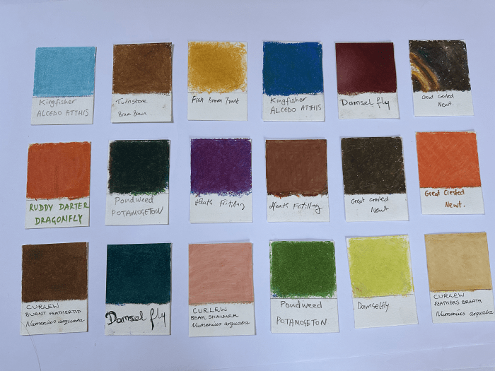 A chart of colours presented on individual rectangles