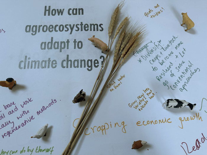 A mix of writing an objects laid on paper, with grasses and seeds