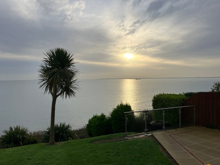 A view across the sea, with a low sun in the sky and a palm tree in the foreground