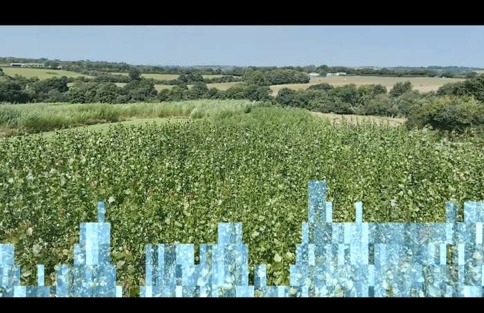 A green set of blocks forming a graph are set in front of a field