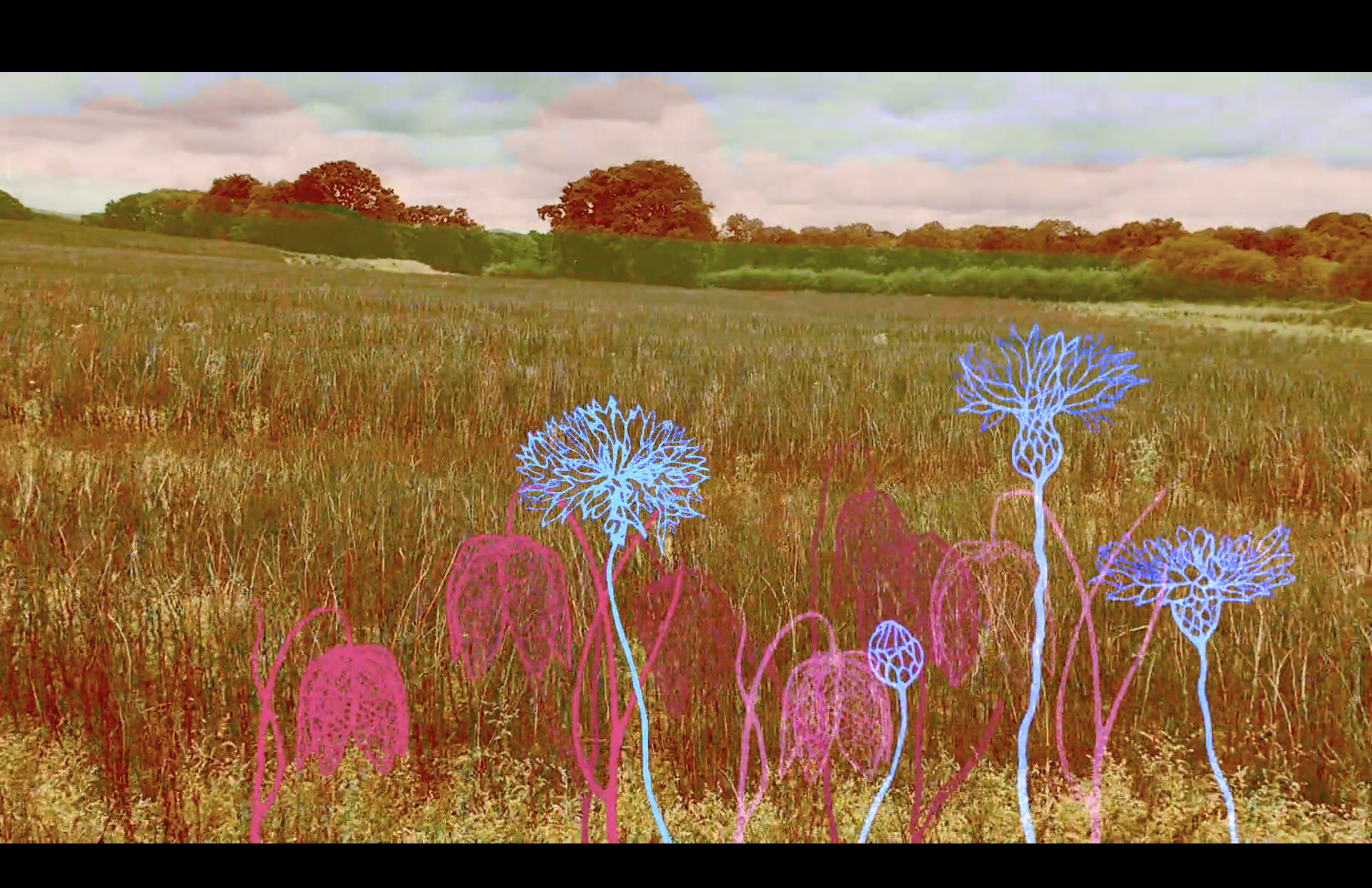 An image from a film showing a field with animated drawings of flowers