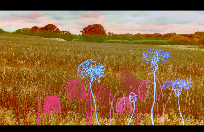 An image from a film showing a field with animated drawings of flowers